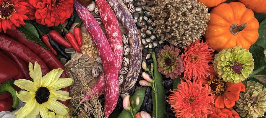 Heirloom seeds