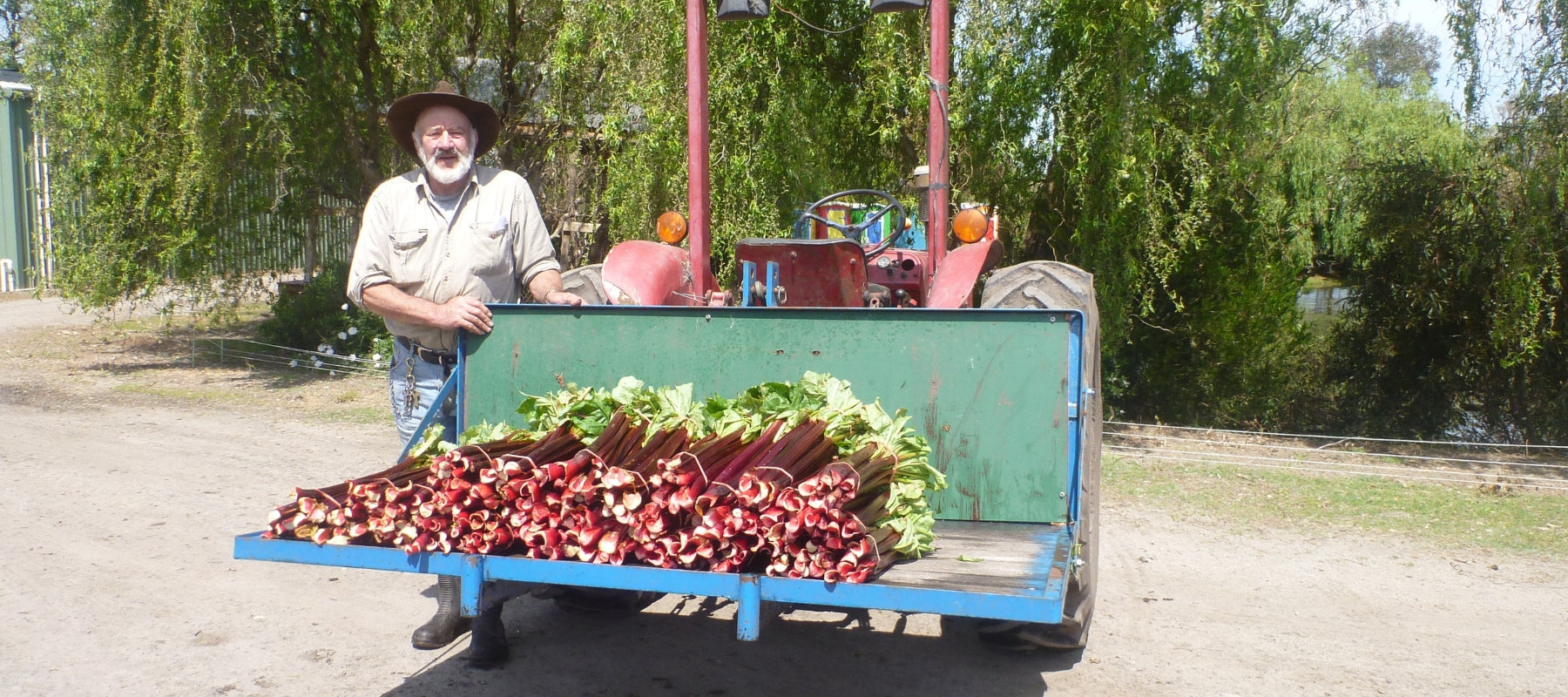 Meet our rhubarb grower