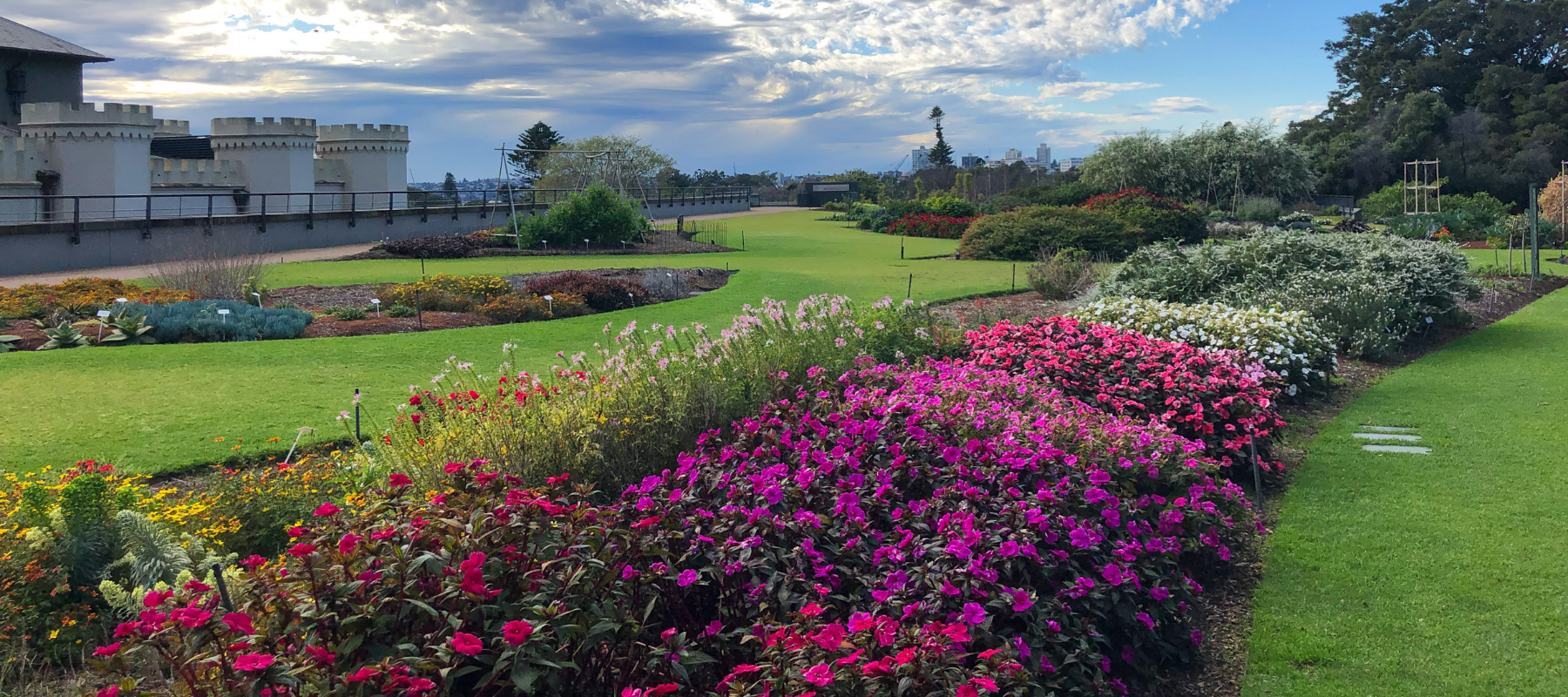 Road testing garden plants at the Royal Botanic Garden Sydney