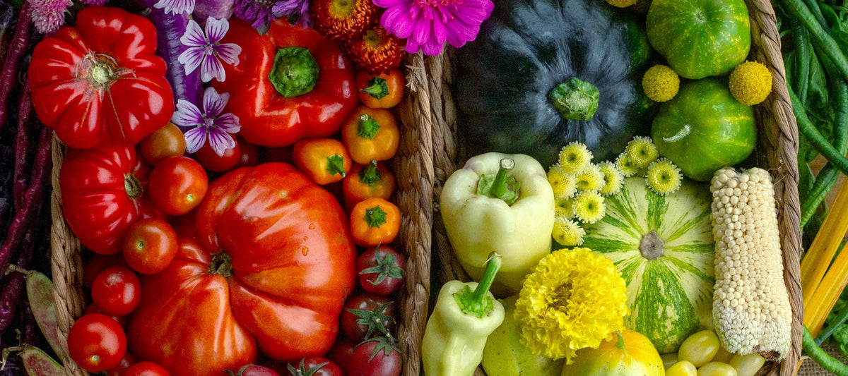 Heirloom Seed Annual 2026/27 Magazine