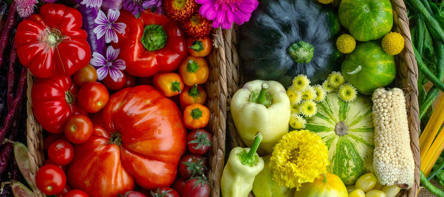 Heirloom Seed Annual 2026/27 Magazine