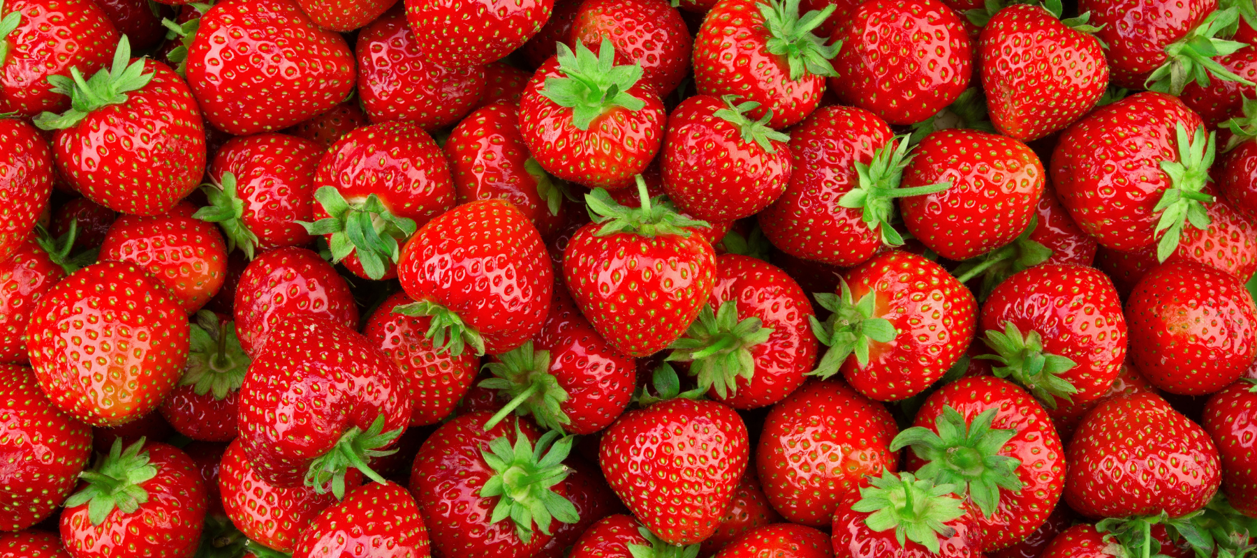 Tips on Growing Strawberries