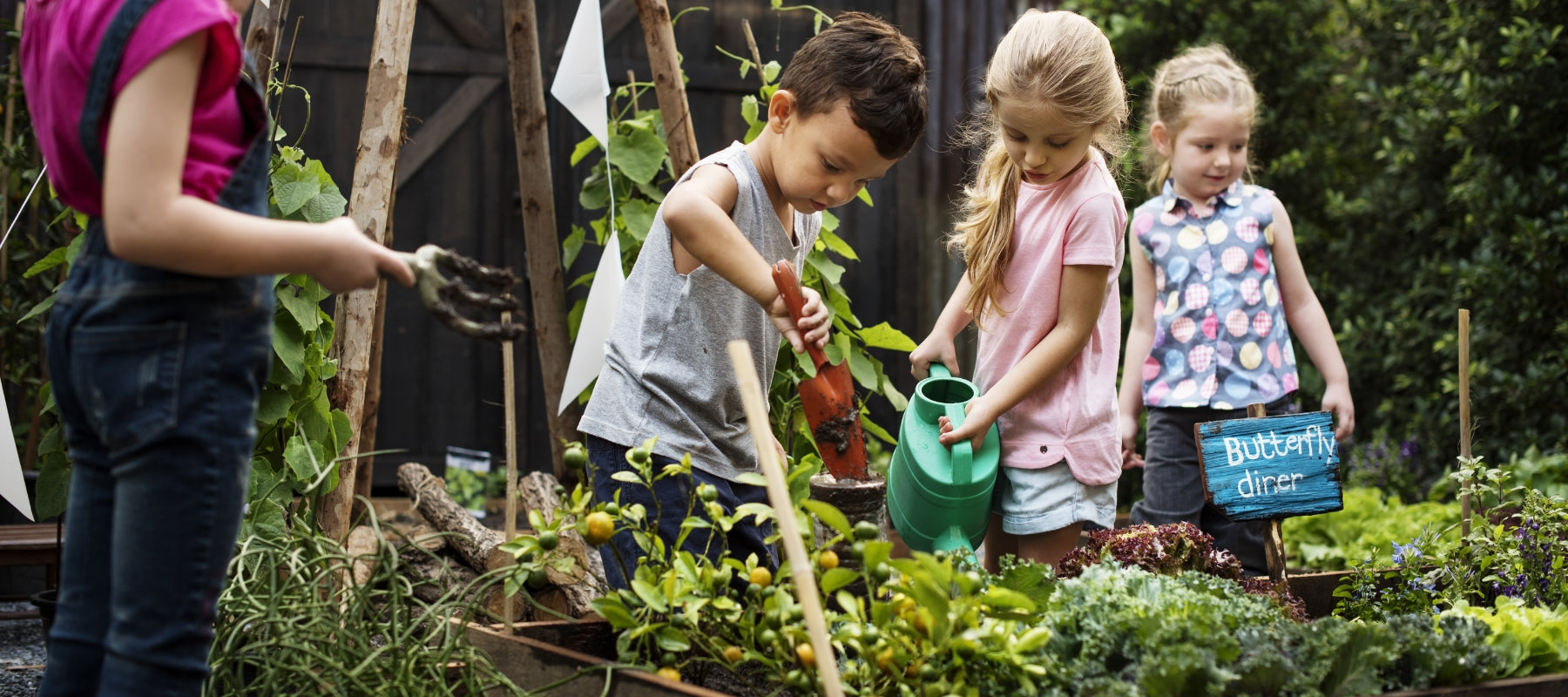 Tackling our ‘plant blindness’