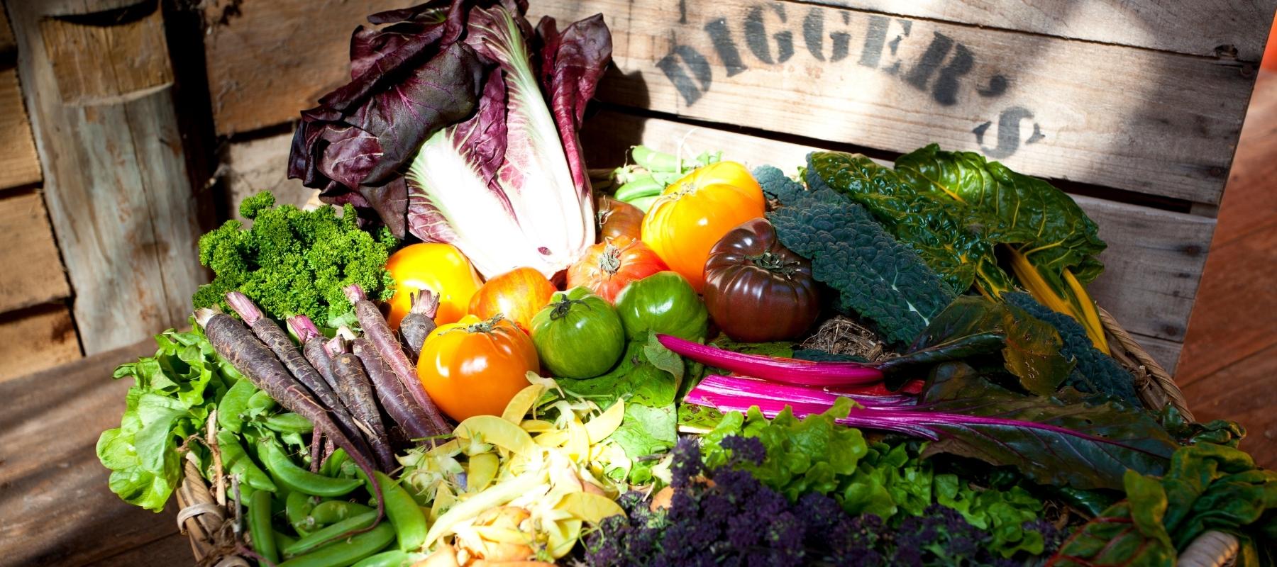 Tender and hardy crops in a basket