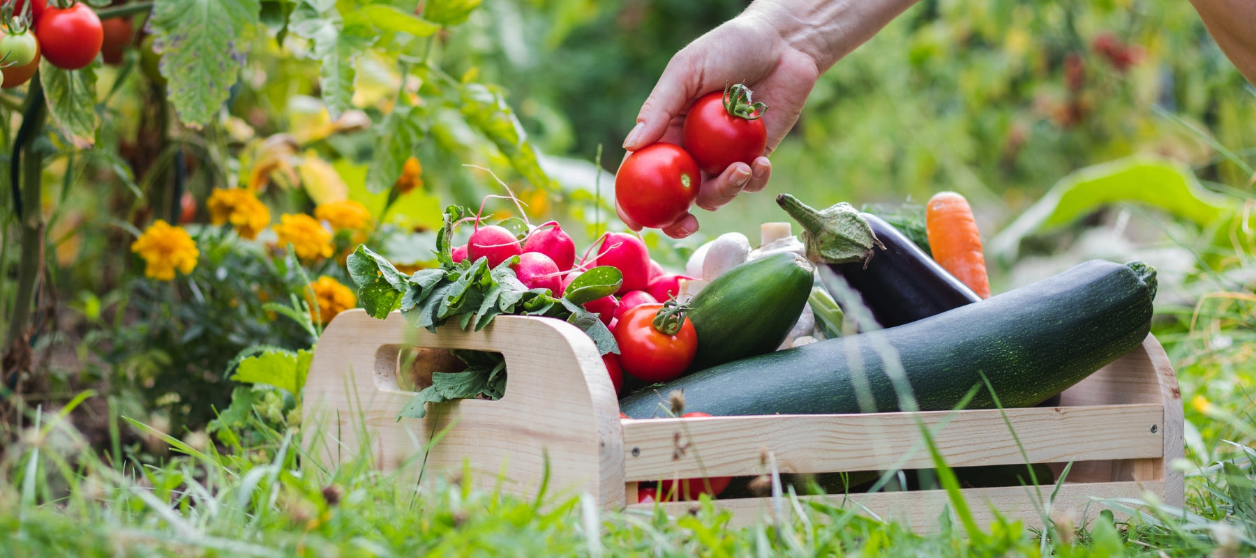 There’s never been a better time to grow your own