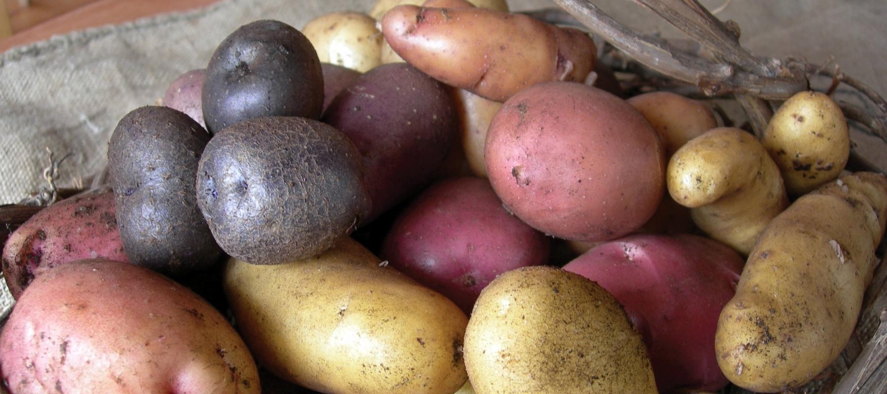 Mixed potatoes