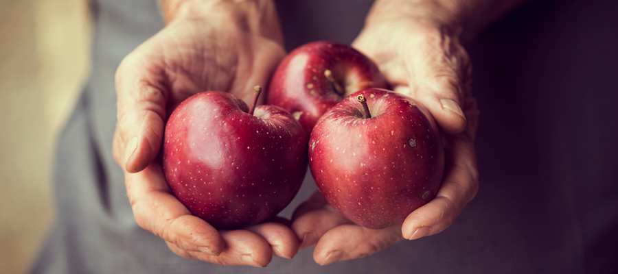 How to Grow Apples