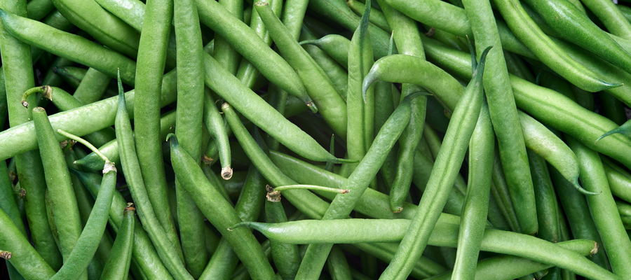 How to Grow Beans