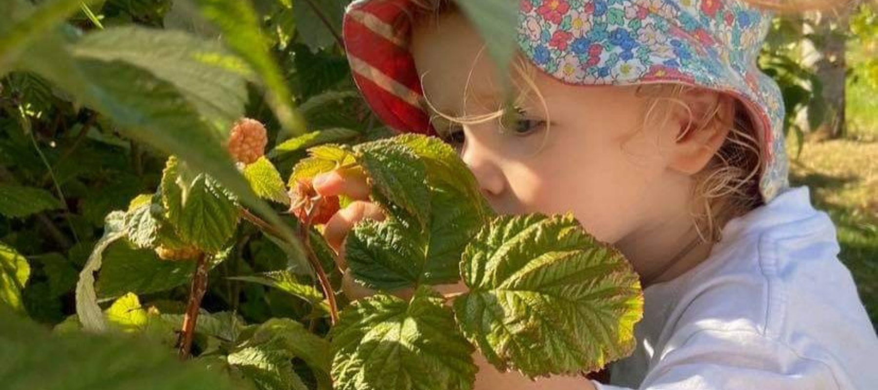 Nature play and gardening for kids