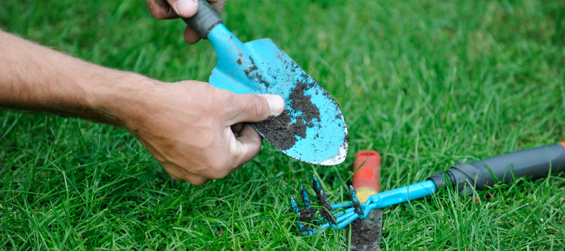 How to maintain and care for your gardening tools