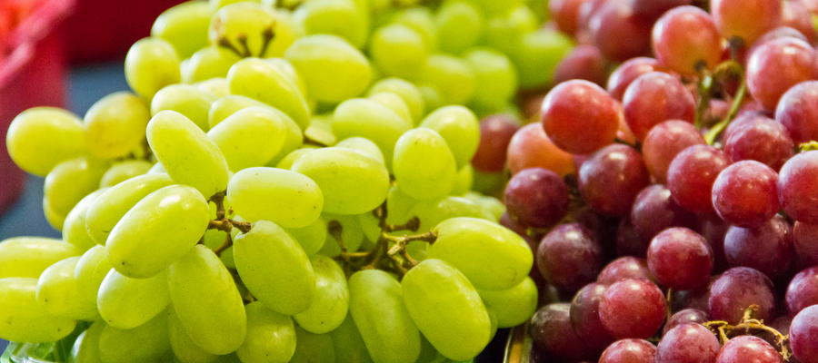 How to Grow Grapes