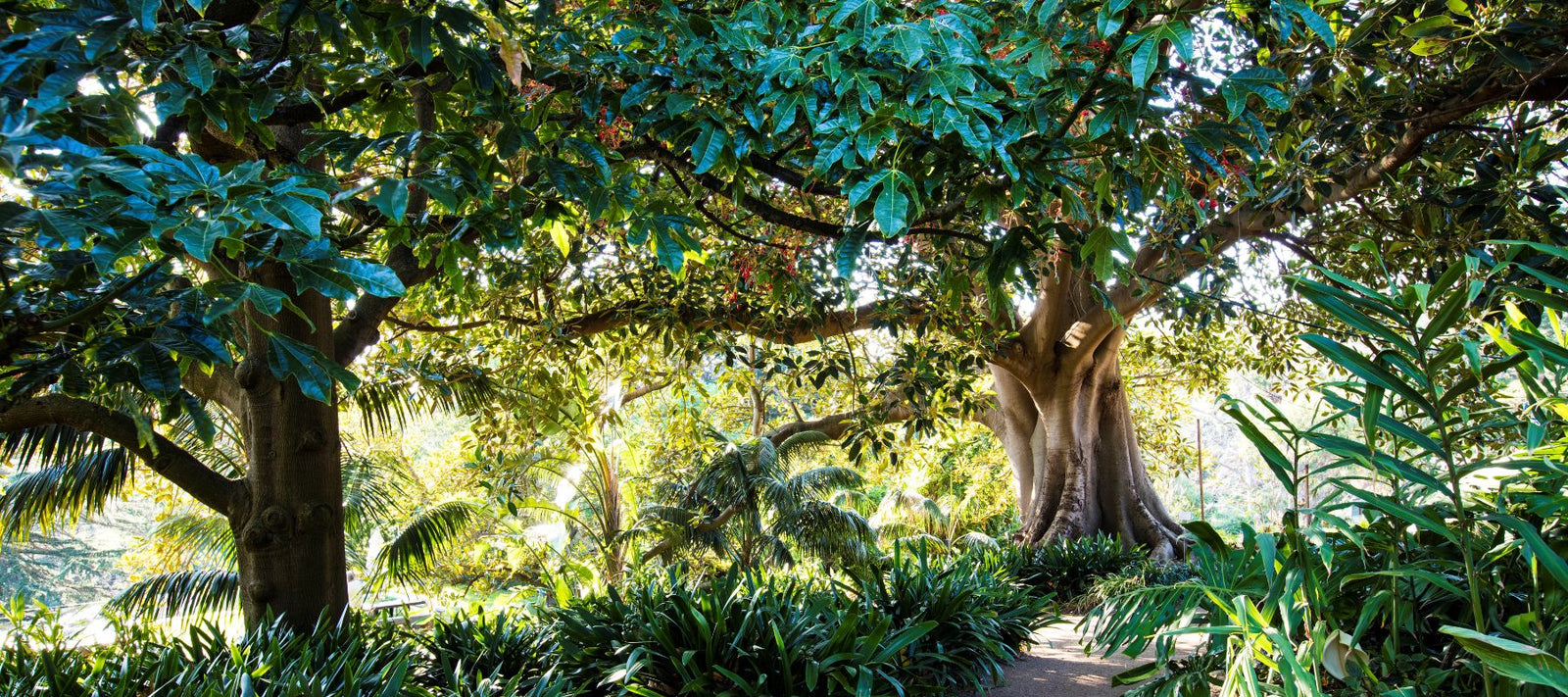 3CR Radical Radio - Tim Sansom