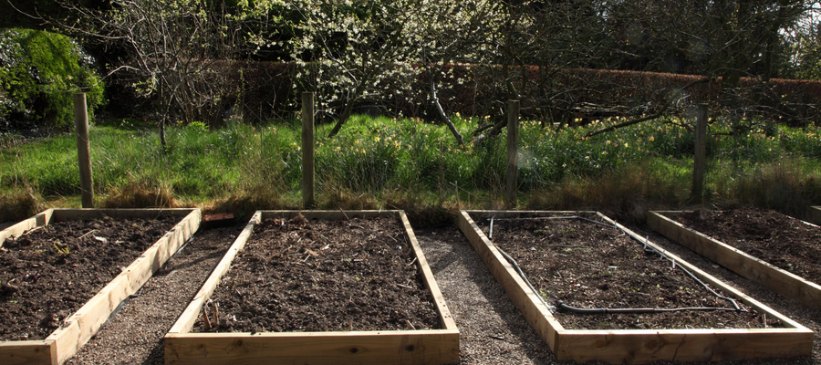Starting your mini-plot from seed