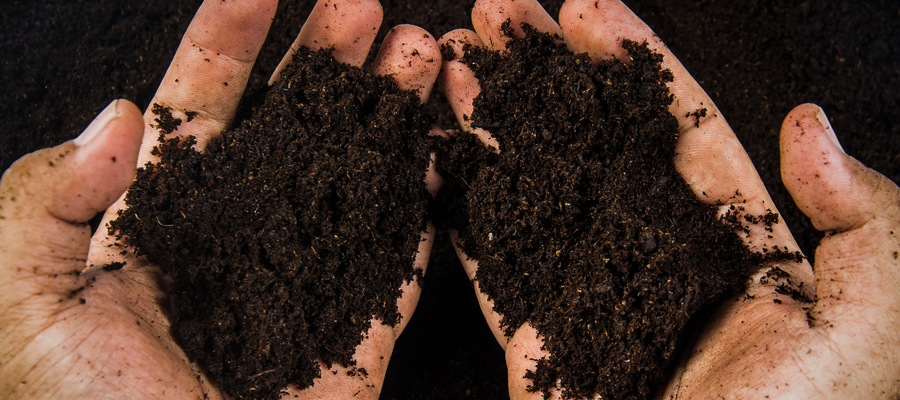 How to test your soil PH
