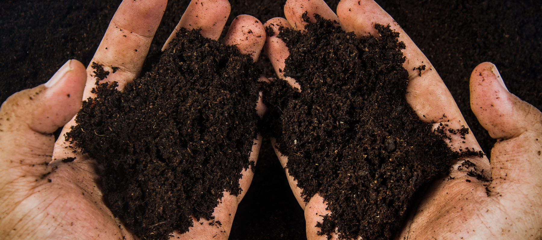 The potential collapse of organic gardening in Australia