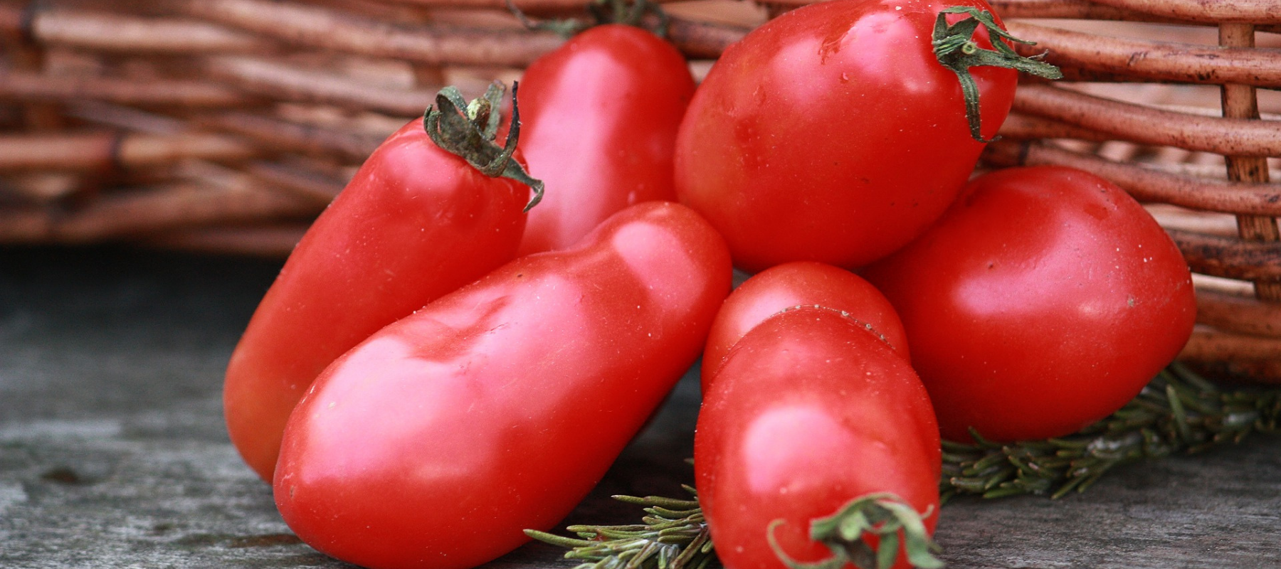 Growing tomatoes - your questions answered