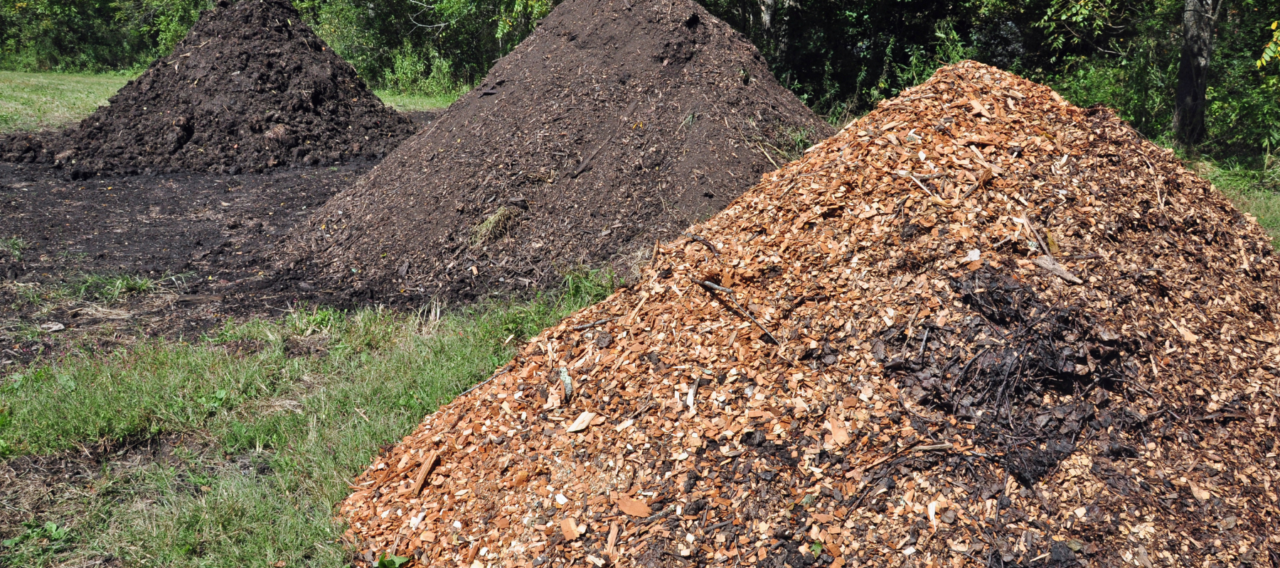 How to choose the best mulch for your garden