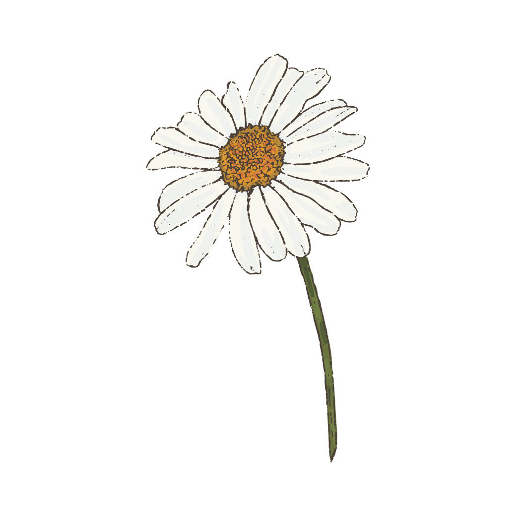All Flowers