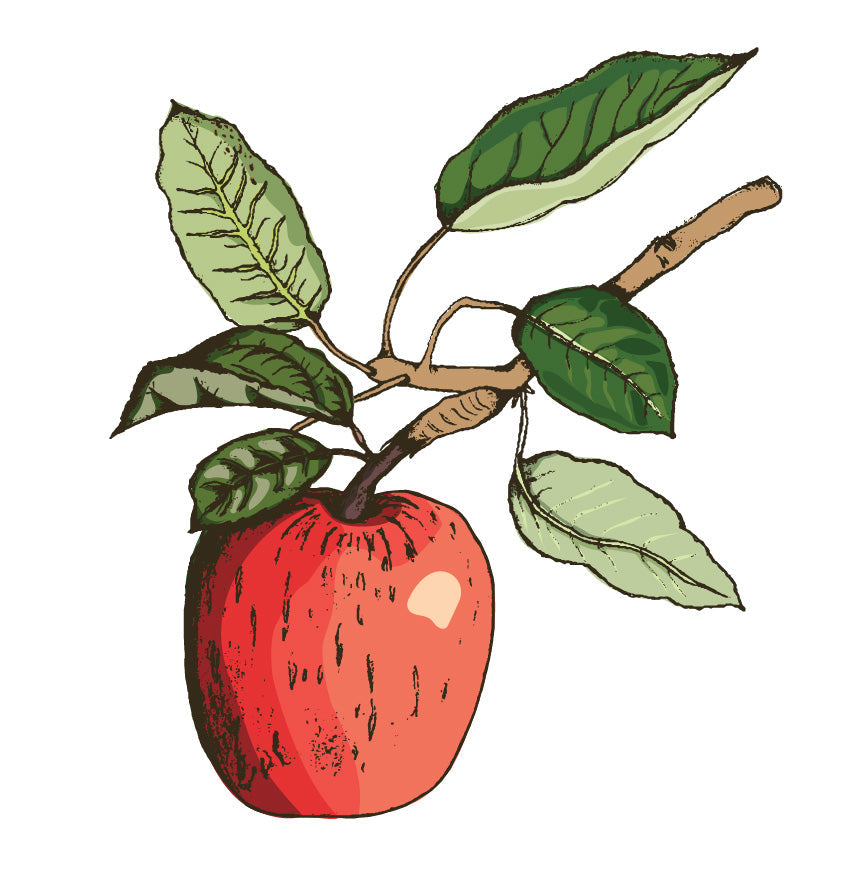 Home orchard