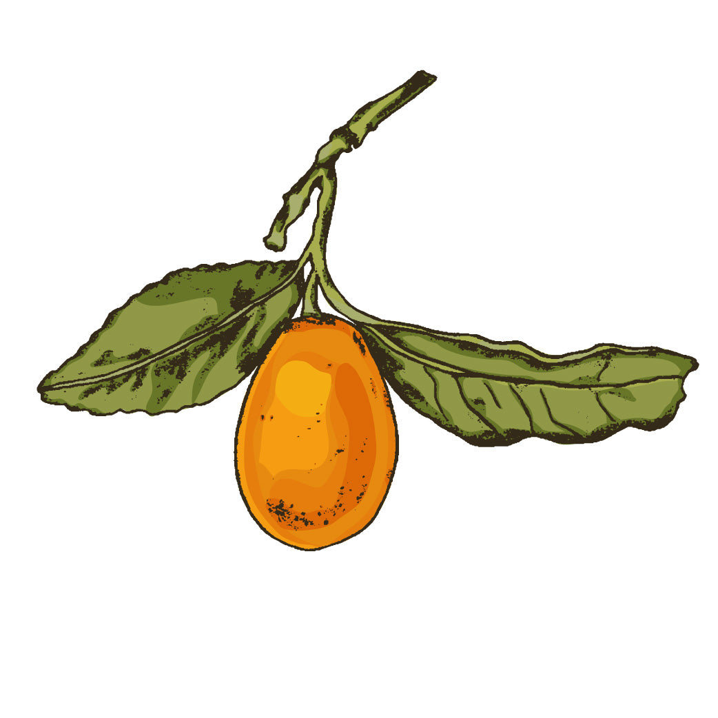 Kumquat