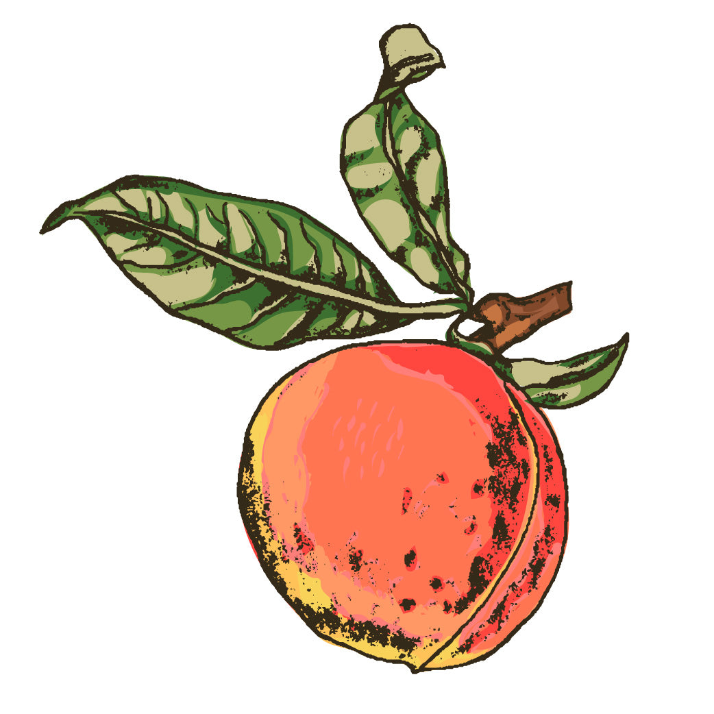 Peach Trees