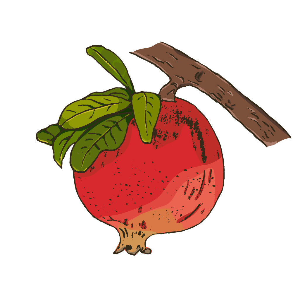 Pomegranate