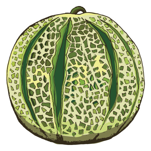 Rockmelon