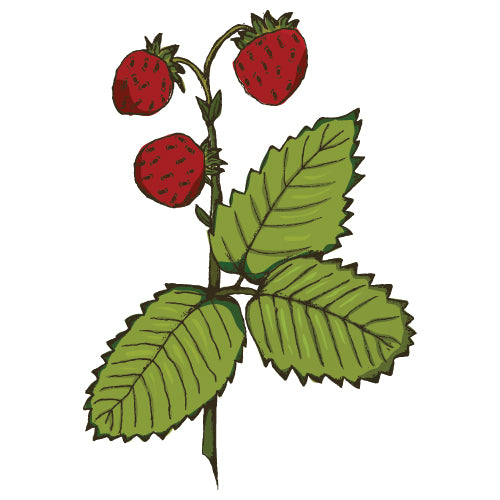 Crops for pots