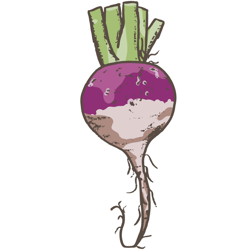 Turnip