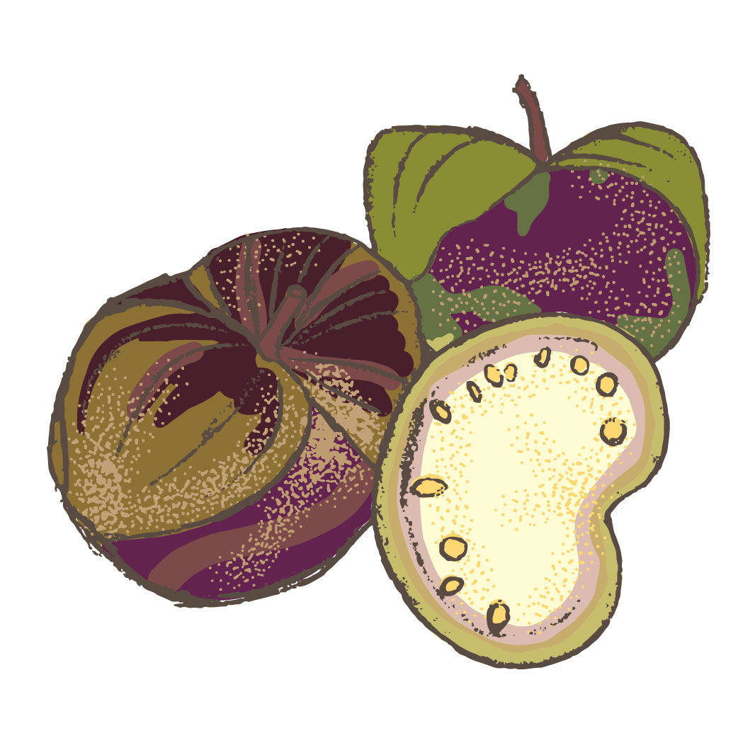 Tomatillo