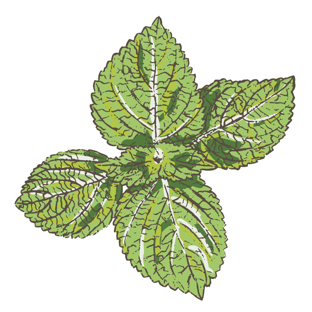 Perilla