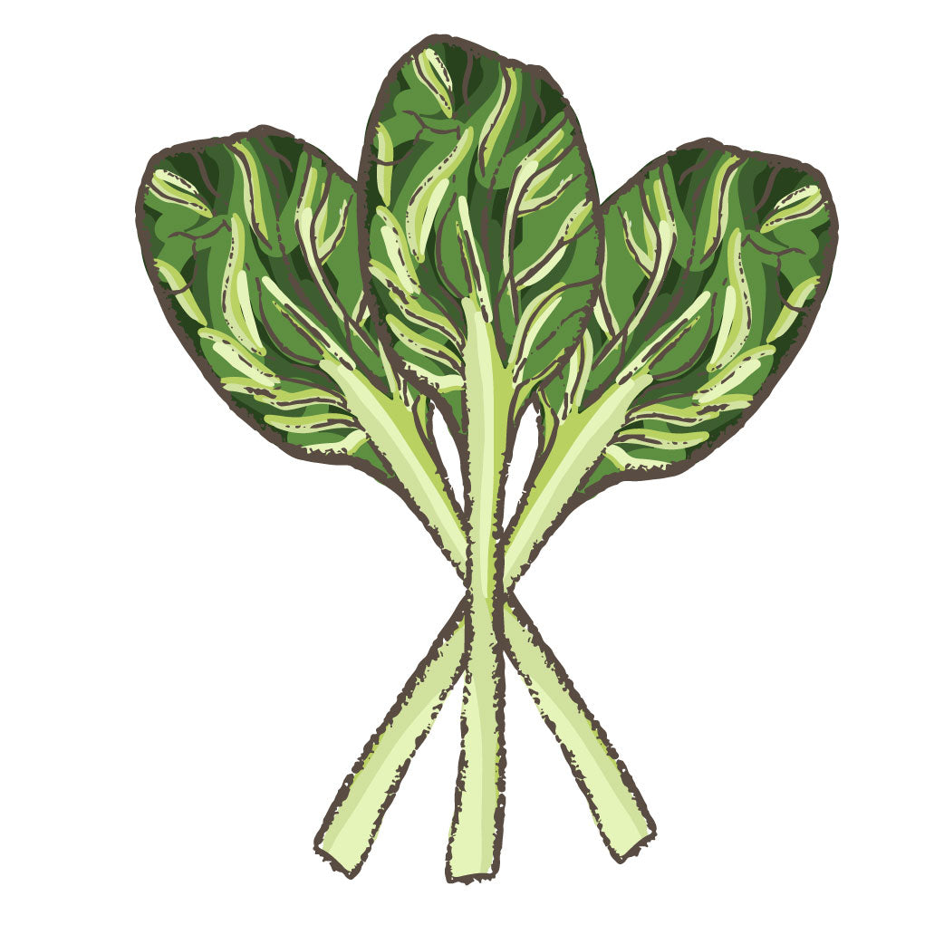 Tatsoi