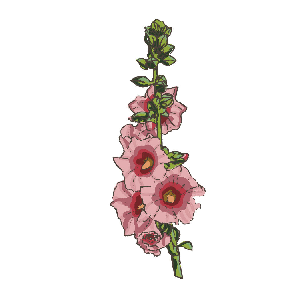 Hollyhock