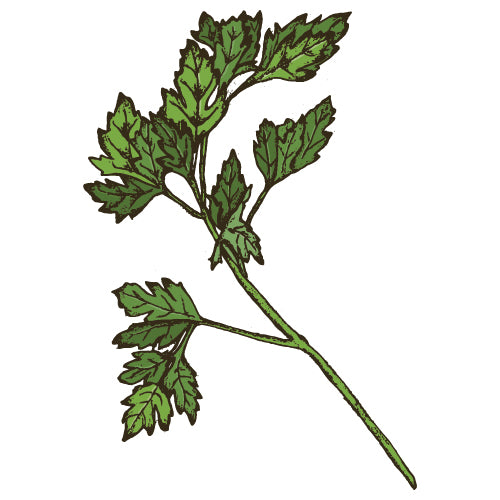 Parsley