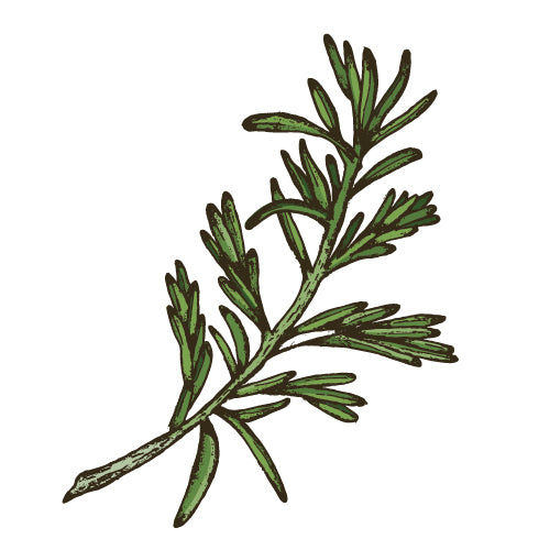 All Herbs, Spices and Sprouts