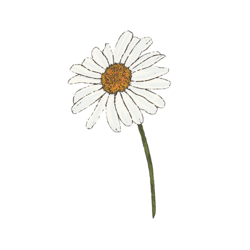 Mother's Day Gift Collection