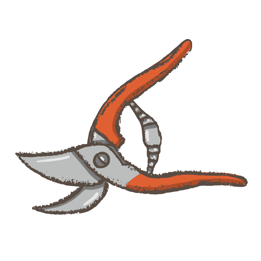 Snips and secateurs