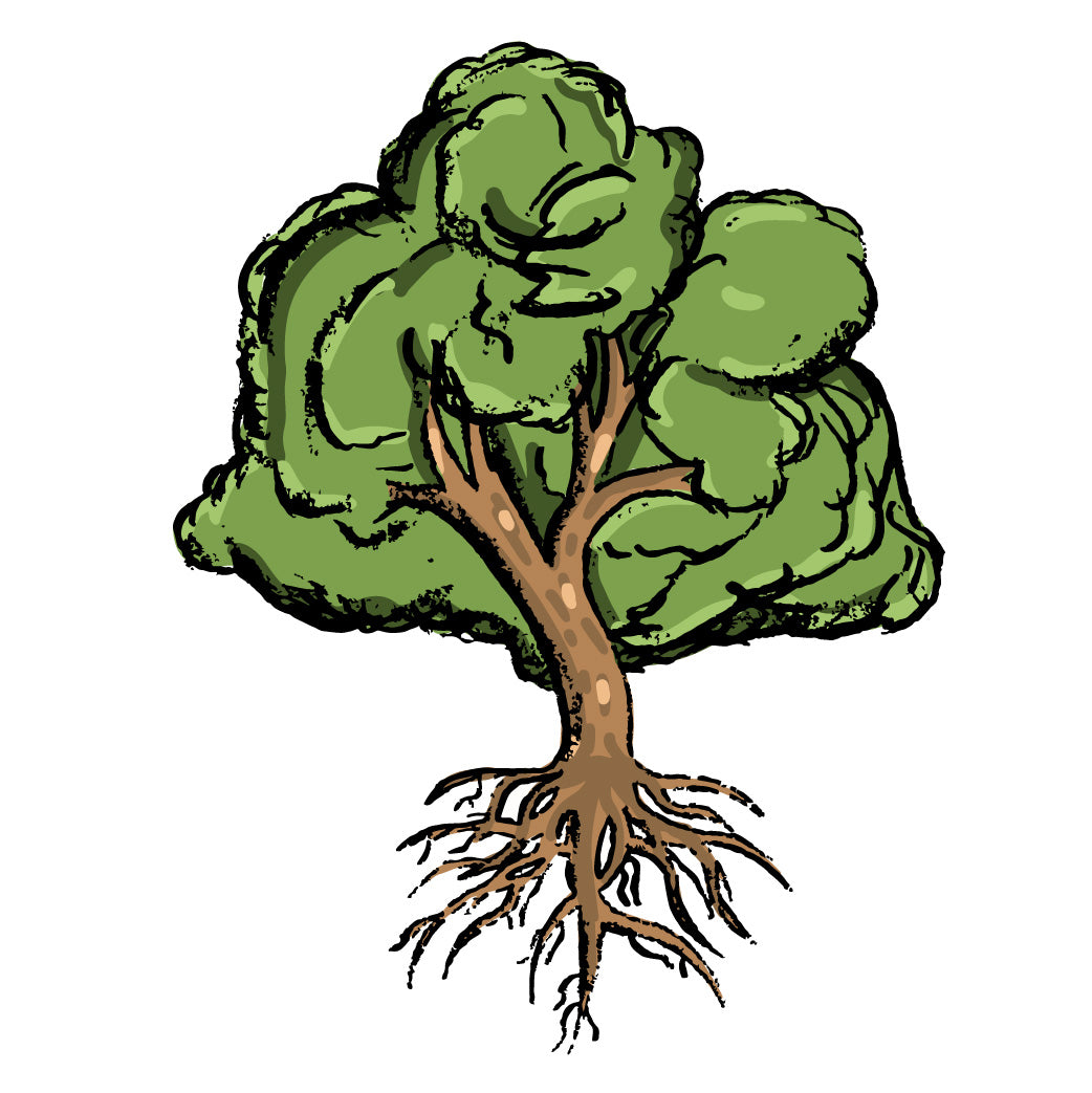 Trees