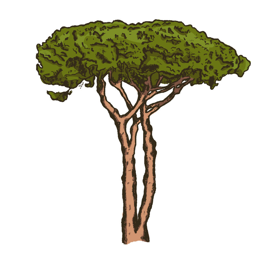 Permaculture