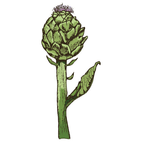 Artichoke