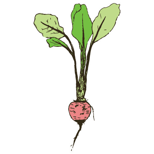 Beetroot