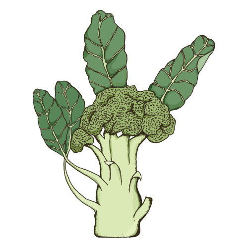 Broccoli