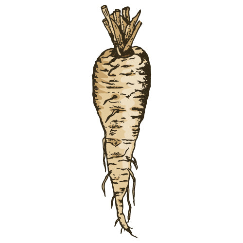 Parsnip