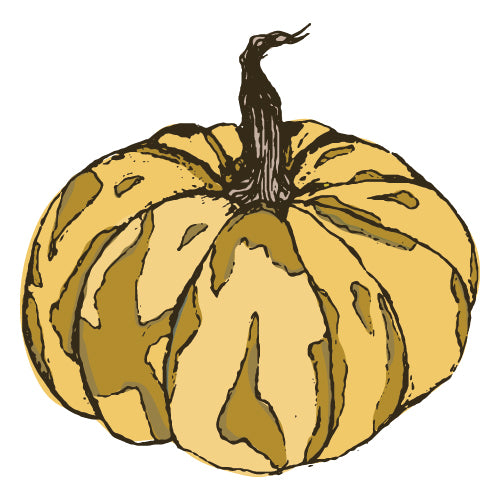 Pumpkin