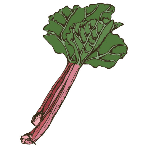 Rhubarb