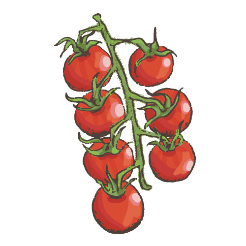 Diggers 30th Anniversary Tomato Winners