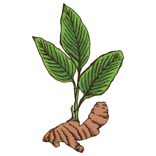 Connie Cao's Asian Veggie Patch