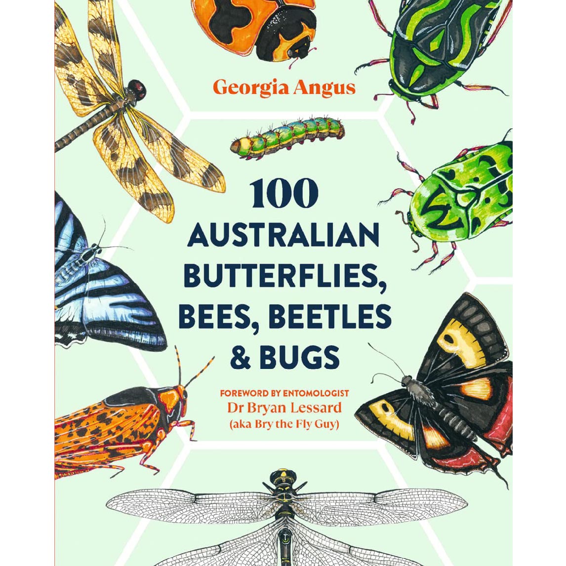 100 Australian Butterflies, Bees, Beetles and Bugs by Georgia Angus