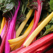 Silverbeet 'Five Colour Mix'