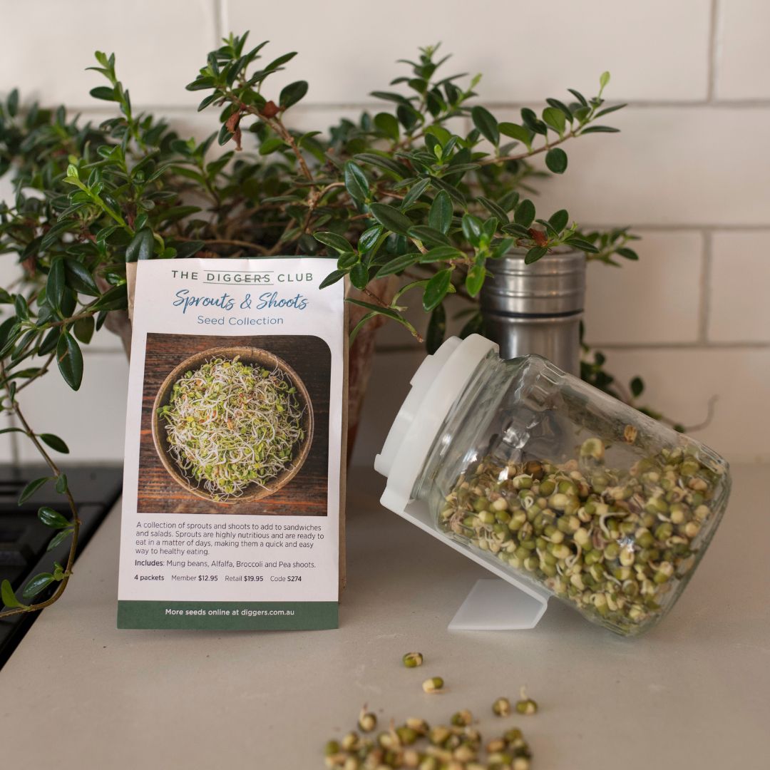 Complete Sprouts Kit - NSW/VIC/SA/QLD/ACT